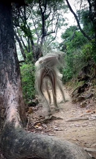 media 3
