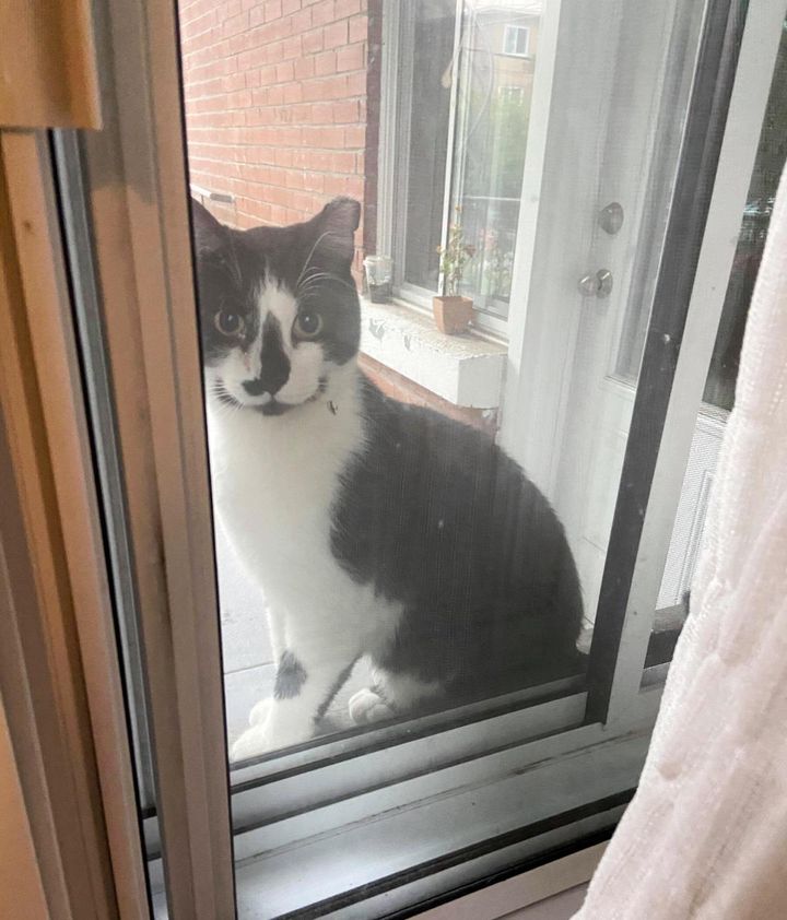 media 1